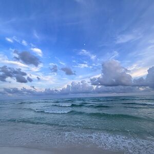 Meet your Posher, Aliza